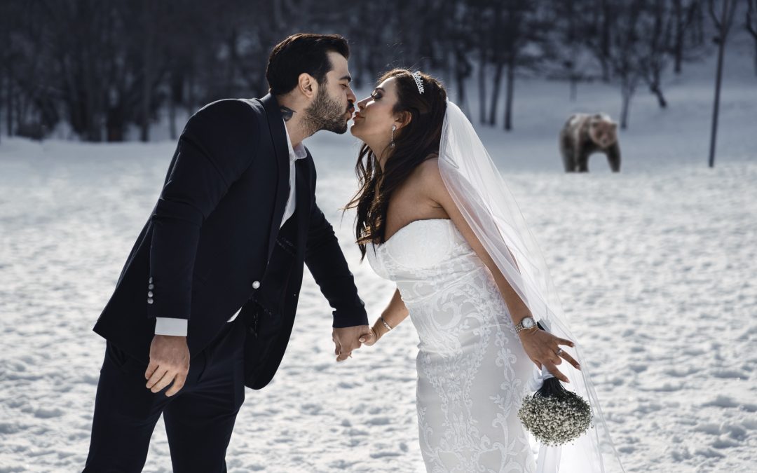Arezoo and Milan – Wedding Photo Shoot